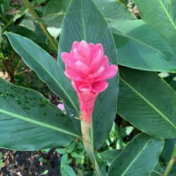 12" x 16" Professional Photography Print. Limited edition of 50. $39.00