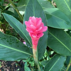 12" x 16" Professional Photography Print. Limited edition of 50. $39.00